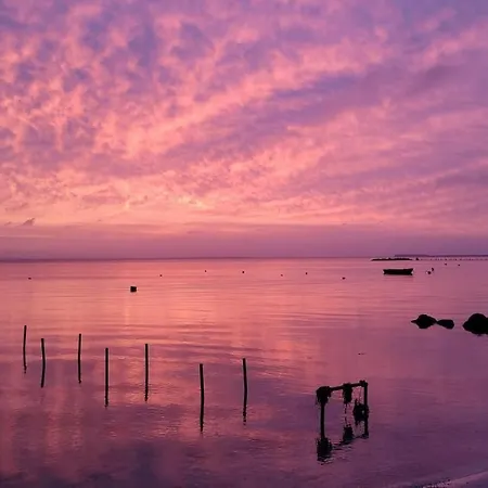 Modern Vacation - Close To Sea And Nature. * Hejls