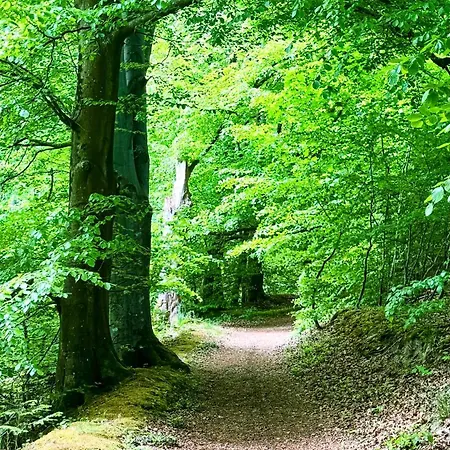 Modern Vacation - Close To Sea And Nature.