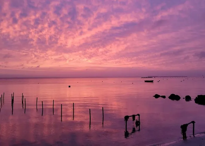 Modern Vacation - Close To Sea And Nature. * Hejls