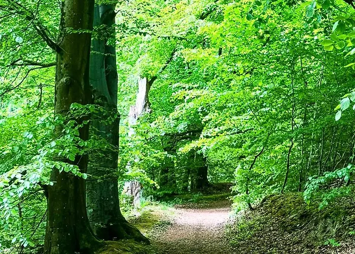 Modern Vacation - Close To Sea And Nature.