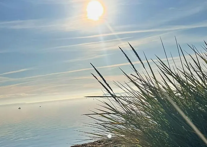 Lejlighed Modern Vacation - Close To Sea And Nature.